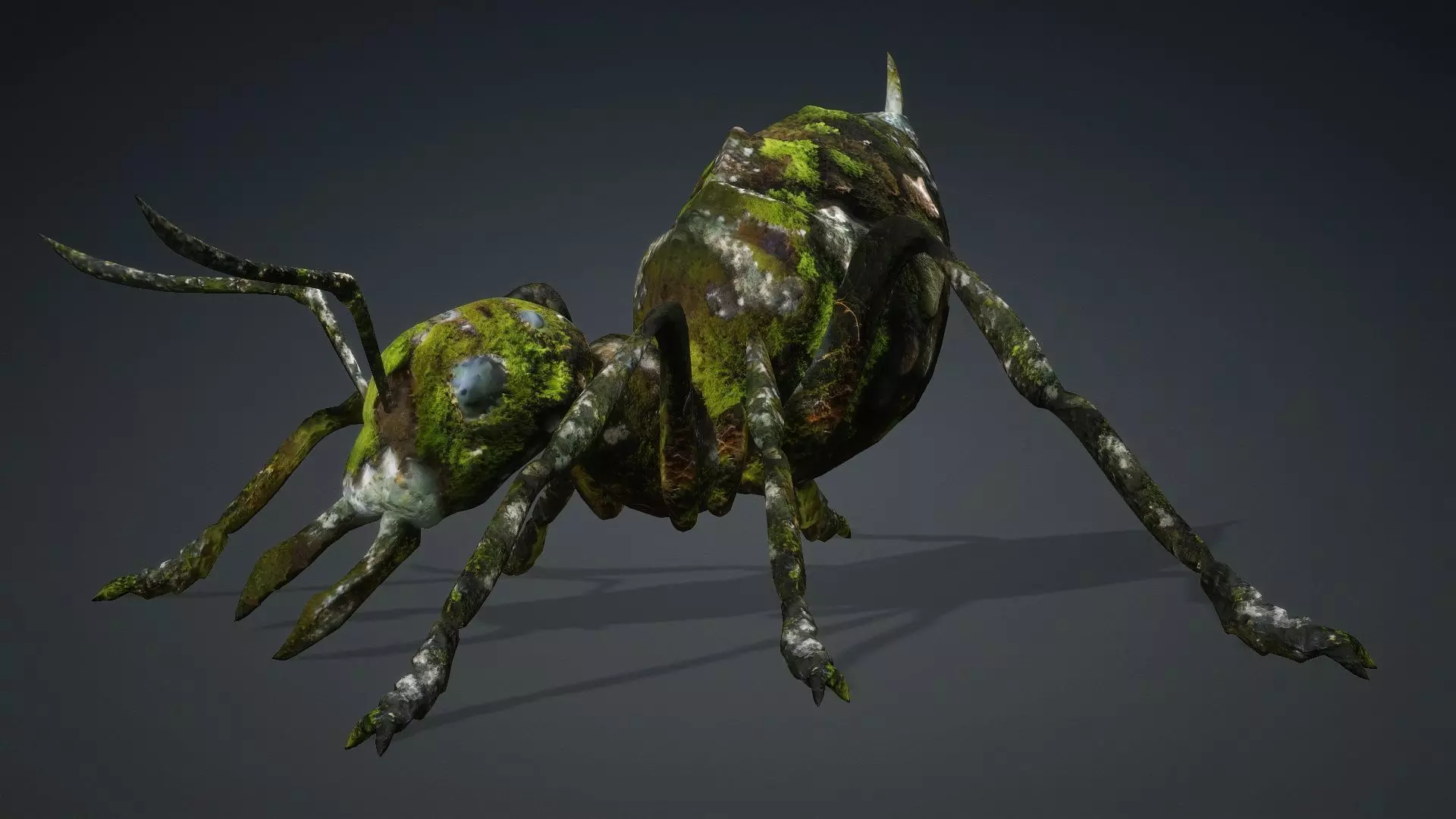 Ant-V3b 3D model_14