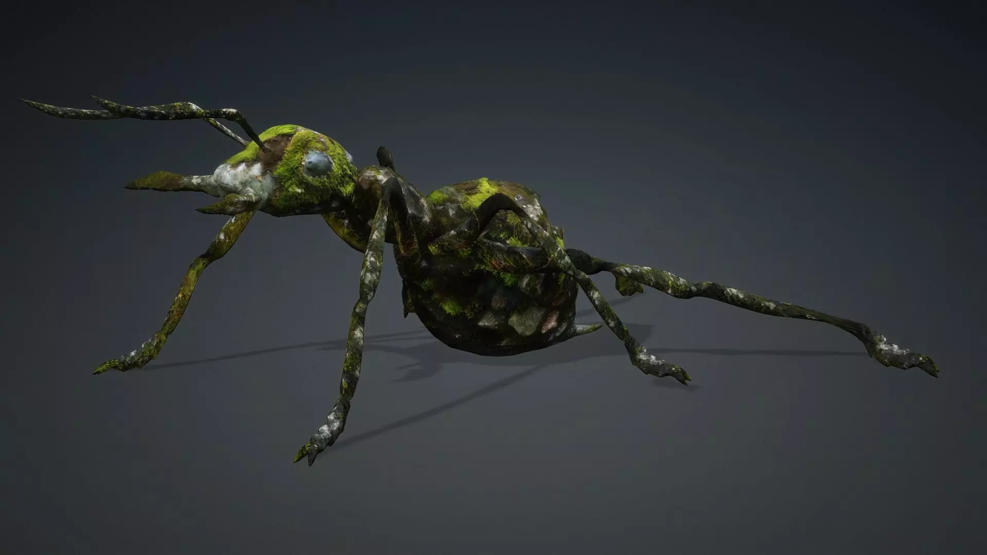 Ant-V3b 3D model_16