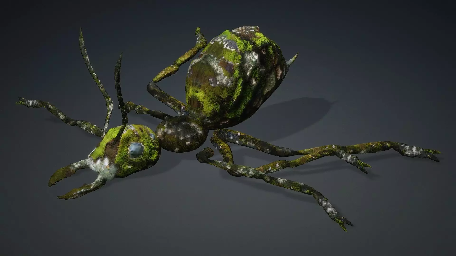 Ant-V3b 3D model_10