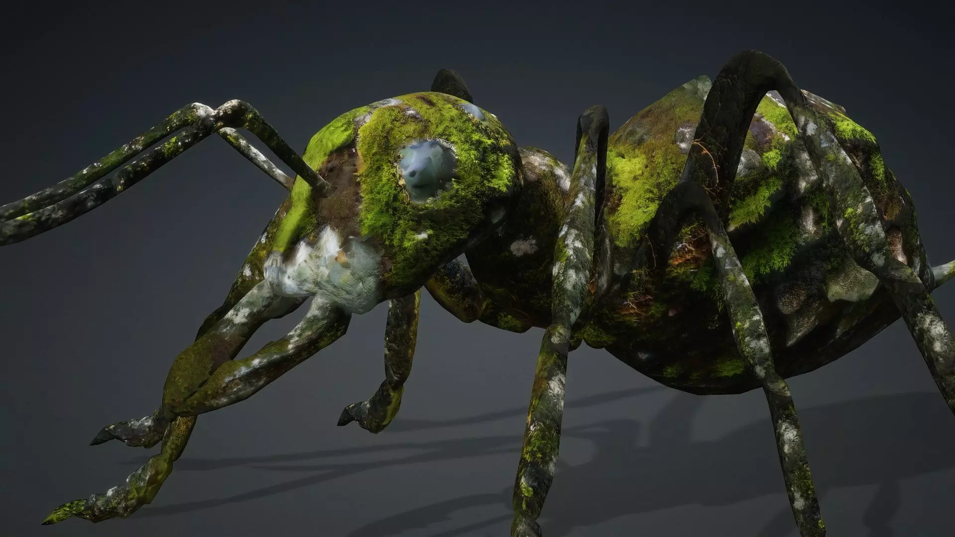 Ant-V3b 3D model_13