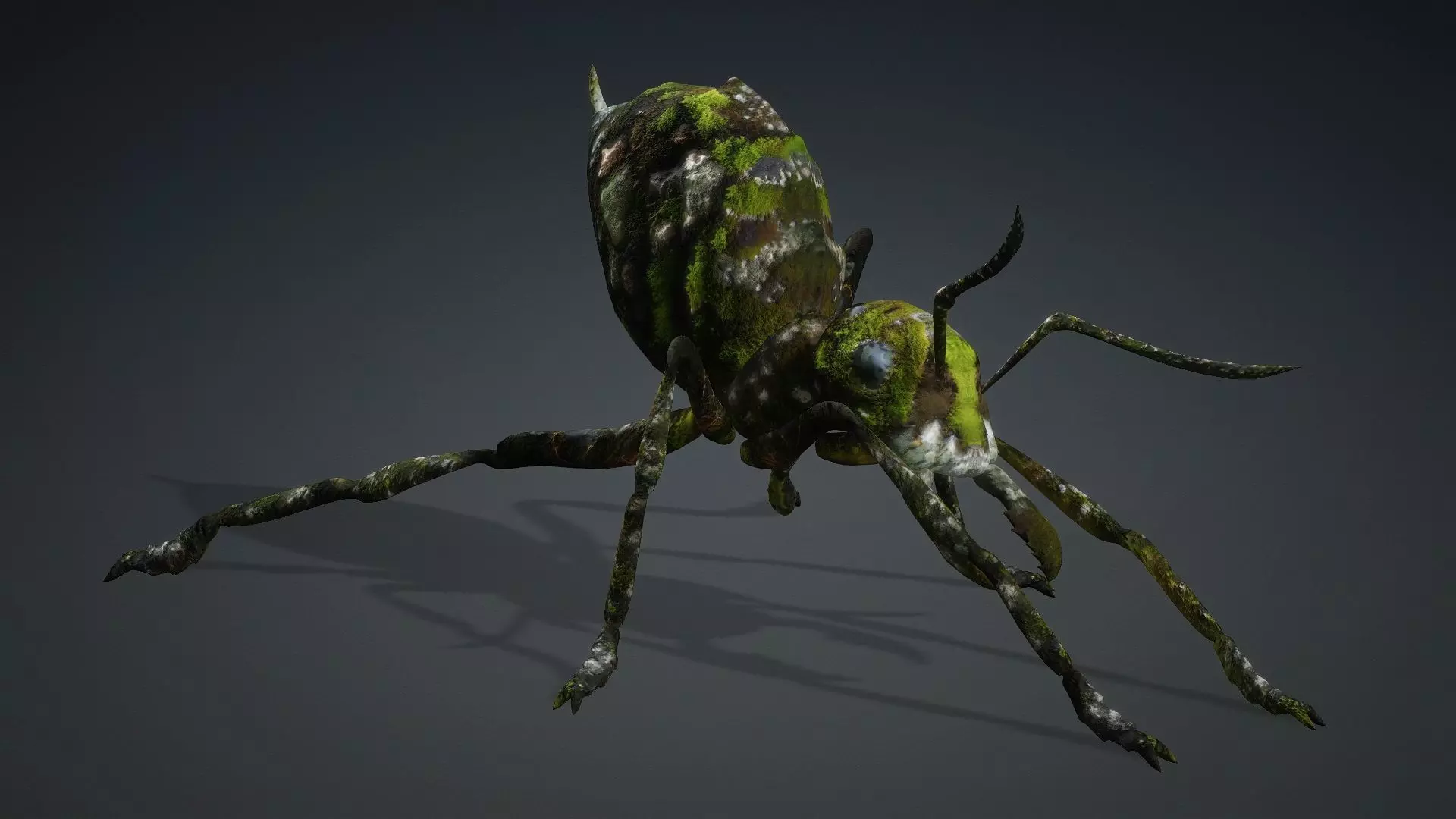 Ant-V3b 3D model_6
