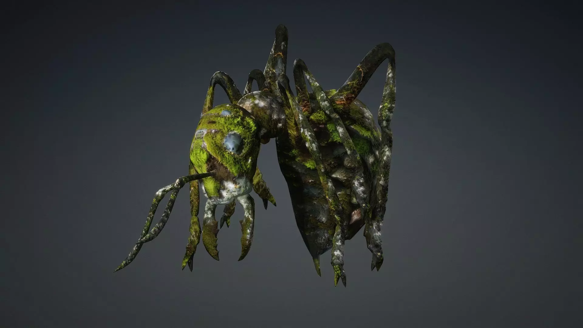 Ant-V3b 3D model_9