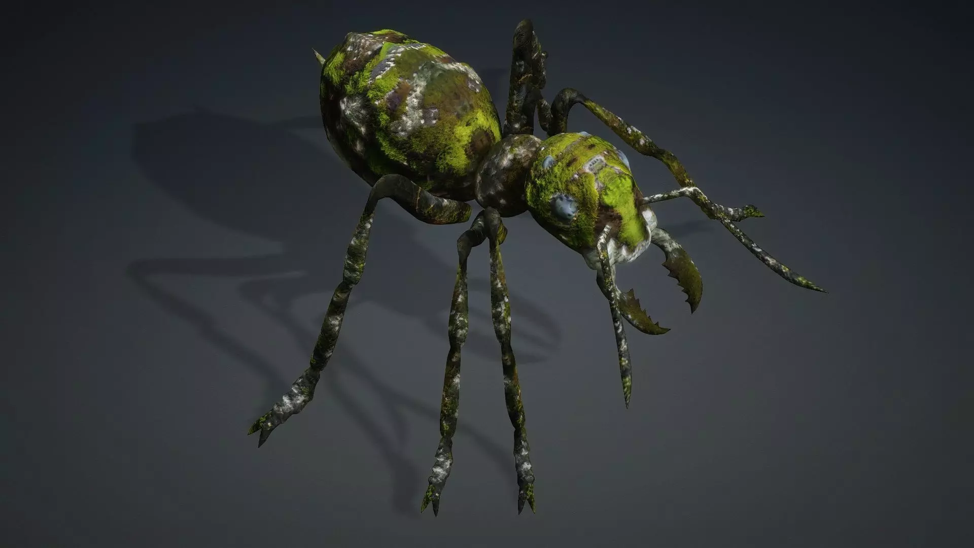 Ant-V3b 3D model_12