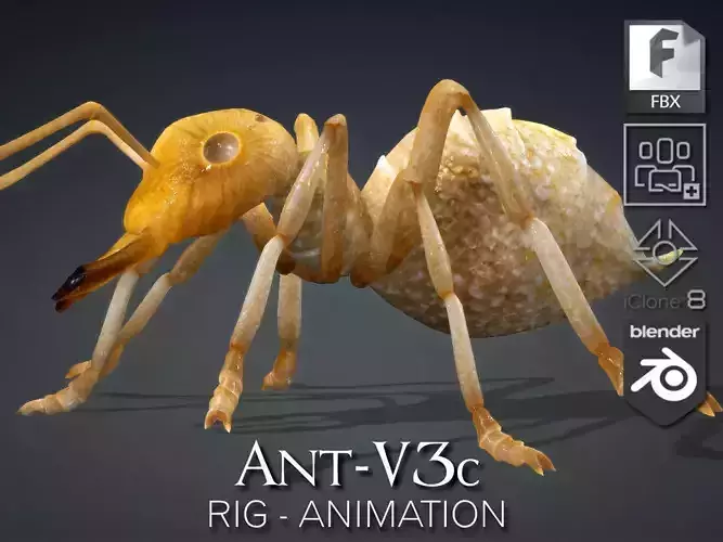 Ant-V3c 3D model