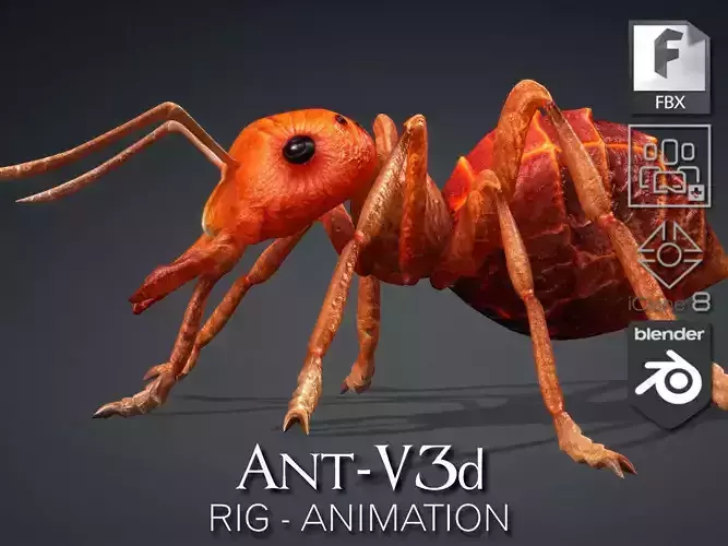 Ant-V3d 3D model