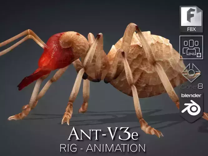 Ant-V3e 3D model