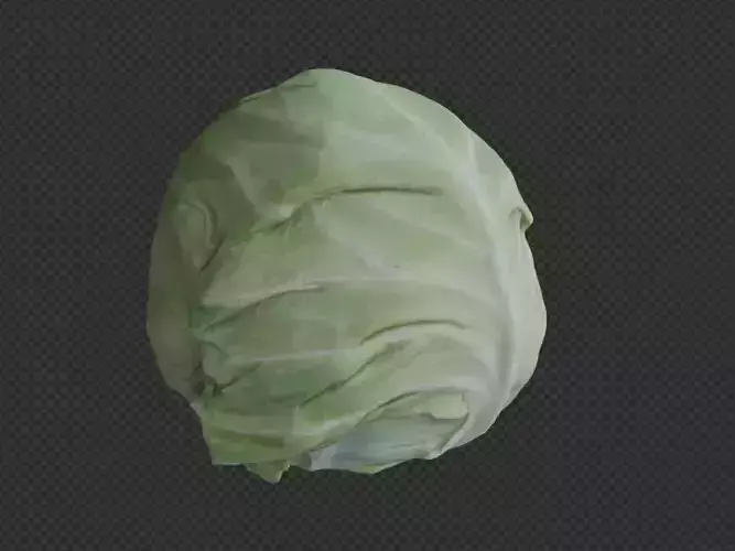 RealisticCabbage3DModel