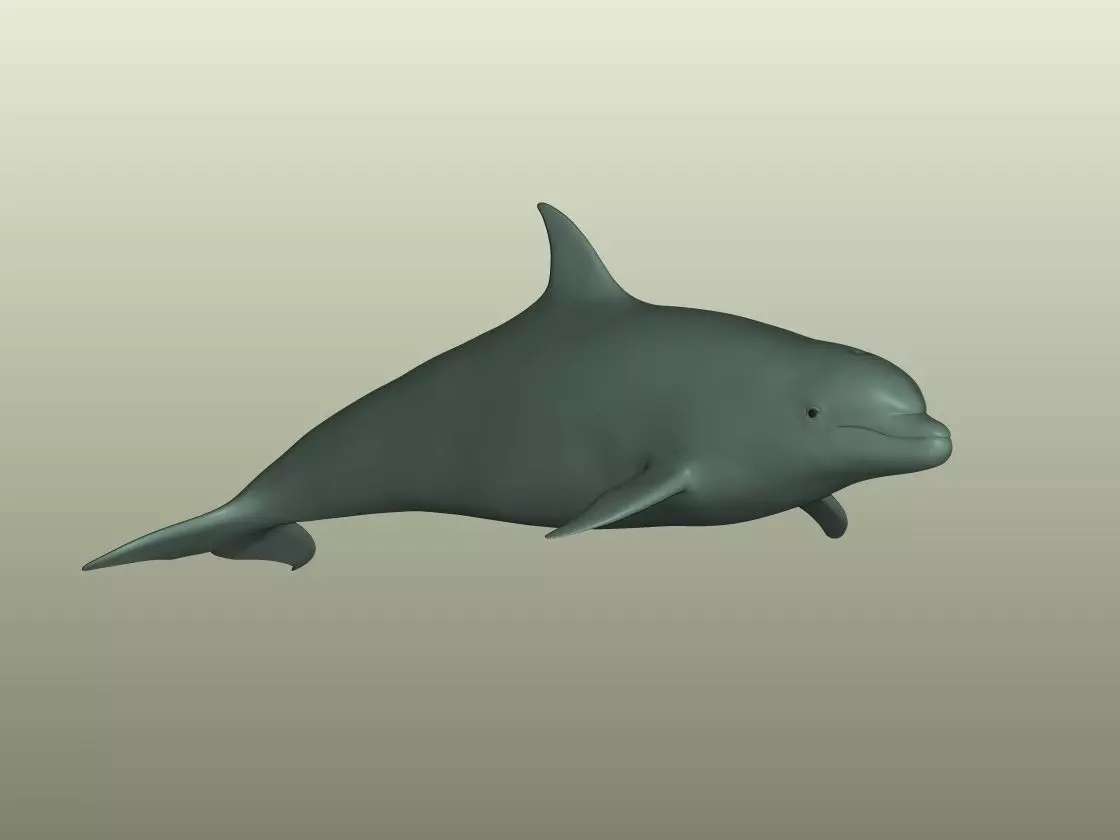 Dolphin 3D Model 3D print model_0