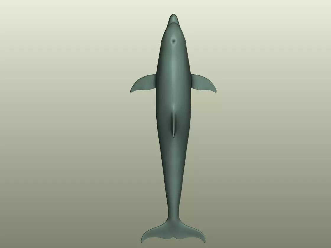 Dolphin 3D Model 3D print model_4