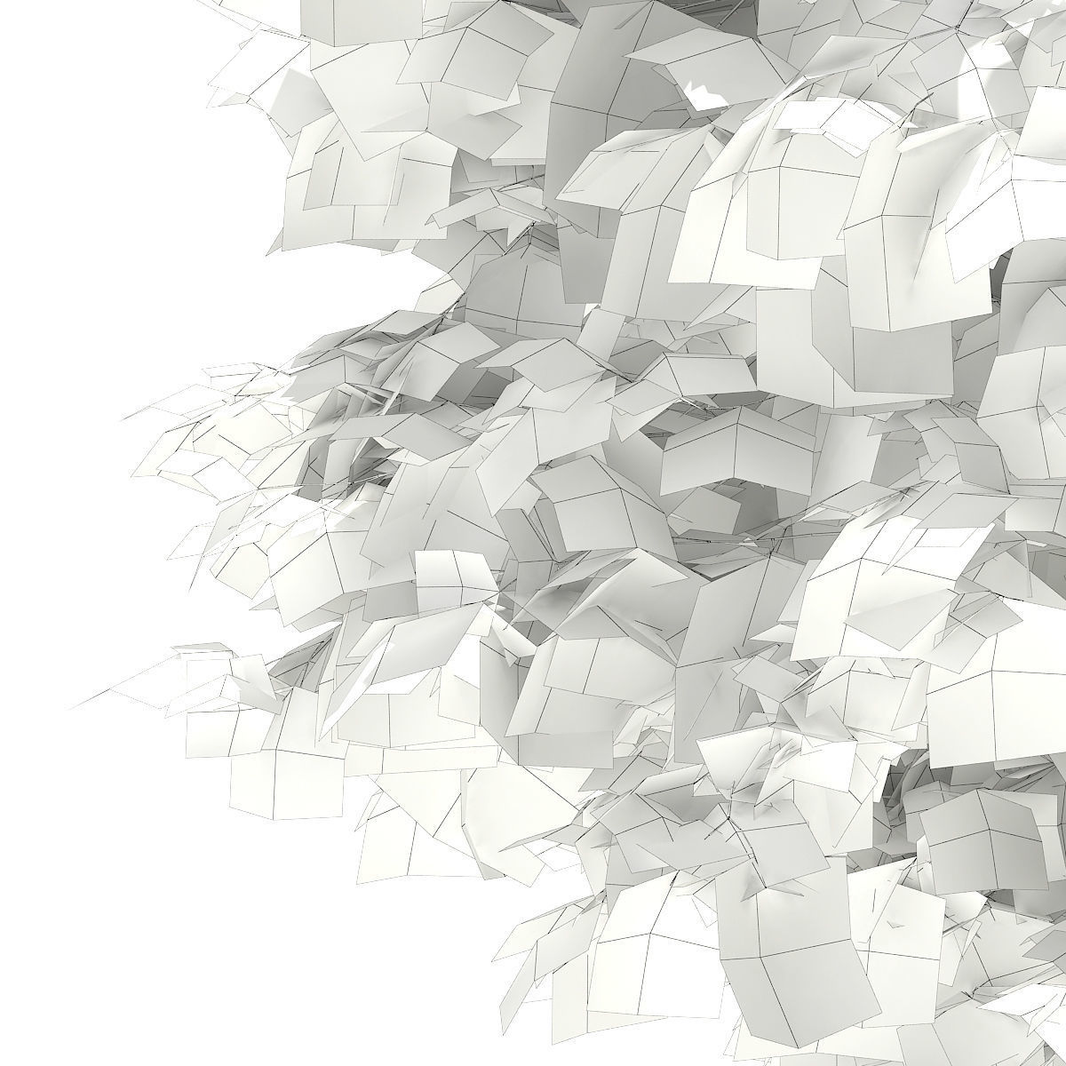 Sycamore Maple Acer pseudoplatanus 4m 3D model_7