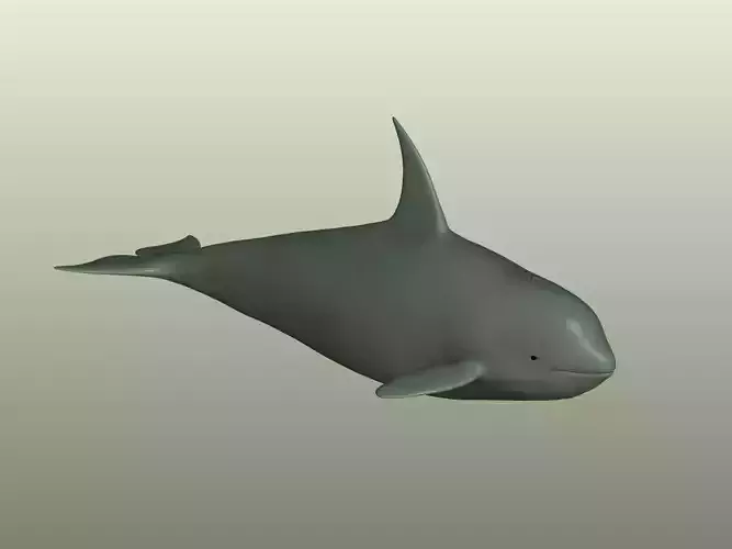 Killer Whale 3D Model 3D print model