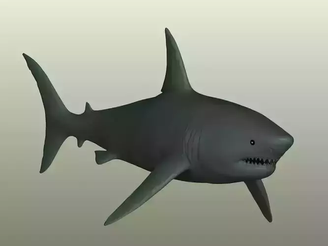 Shark 3D Model
