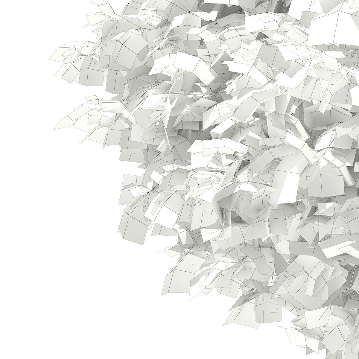 Sycamore Maple Acer pseudoplatanus 7m 3D model_7