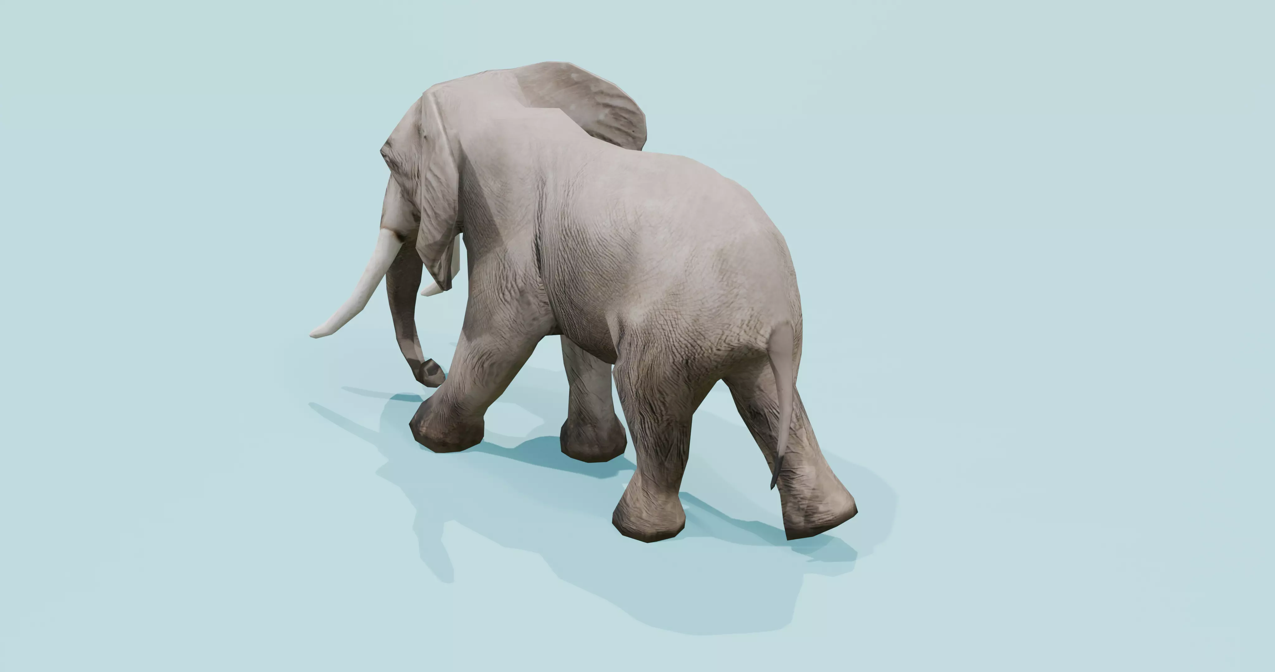 African Elephant Animated 3D model 3D model_3