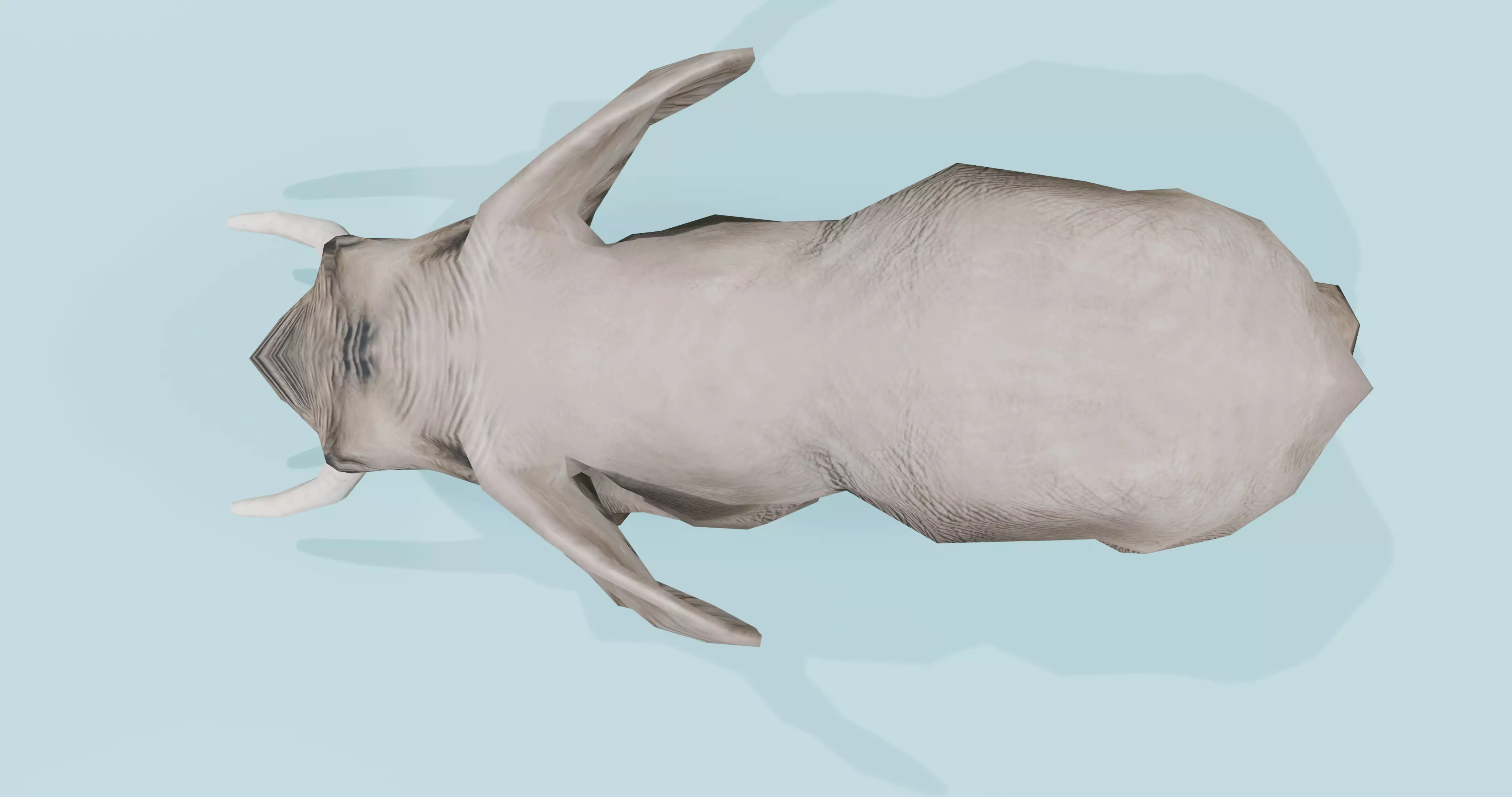 African Elephant Animated 3D model 3D model_4