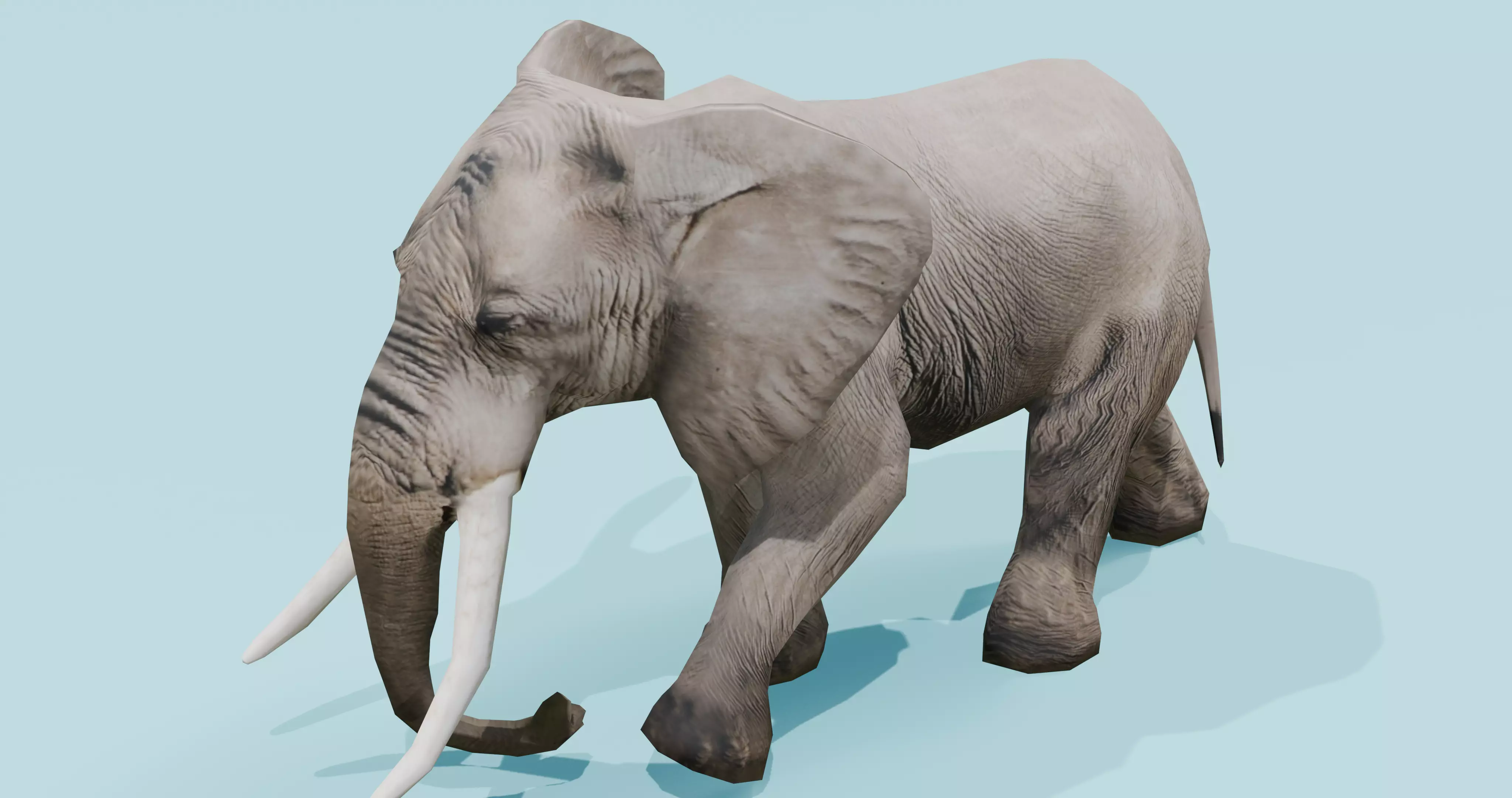 African Elephant Animated 3D model 3D model_0