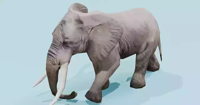 African Elephant Animated 3D model