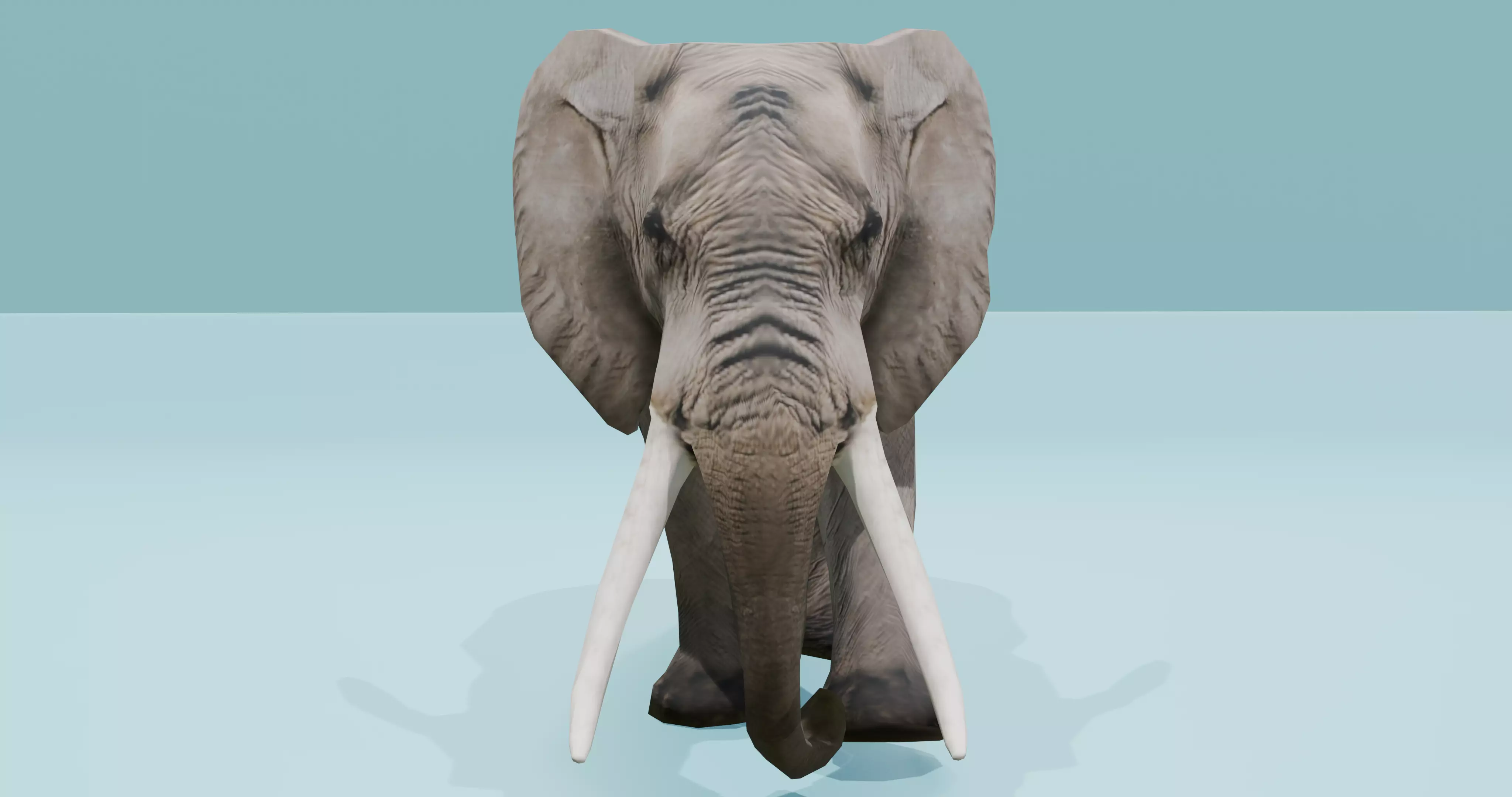 African Elephant Animated 3D model 3D model_1