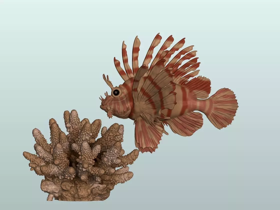 Lionfish fish 3D print 3D print model_0