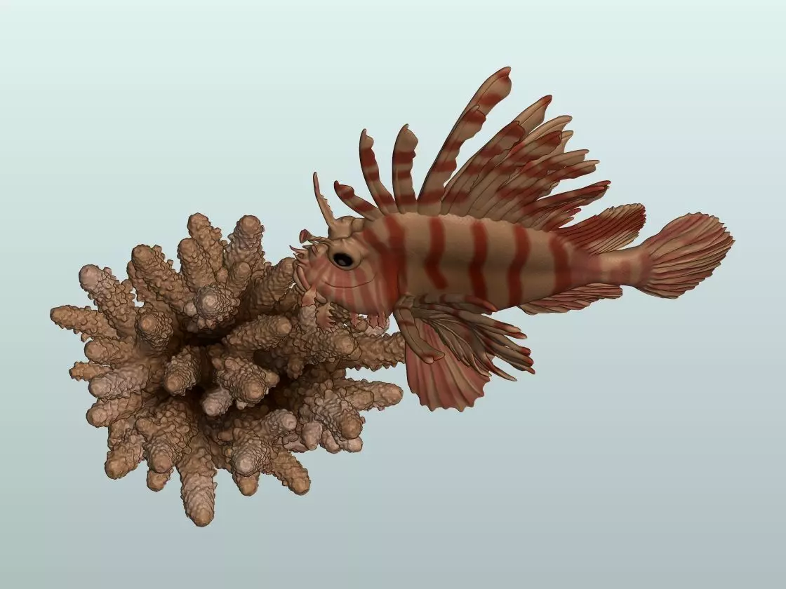 Lionfish fish 3D print 3D print model_3