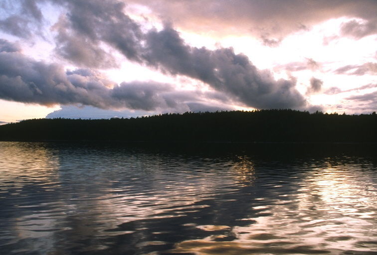 apache grid of lines Free 3D model_3