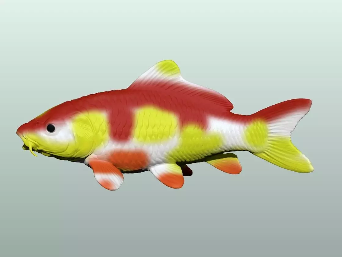 Koi Fish 3D Model 3D print model
