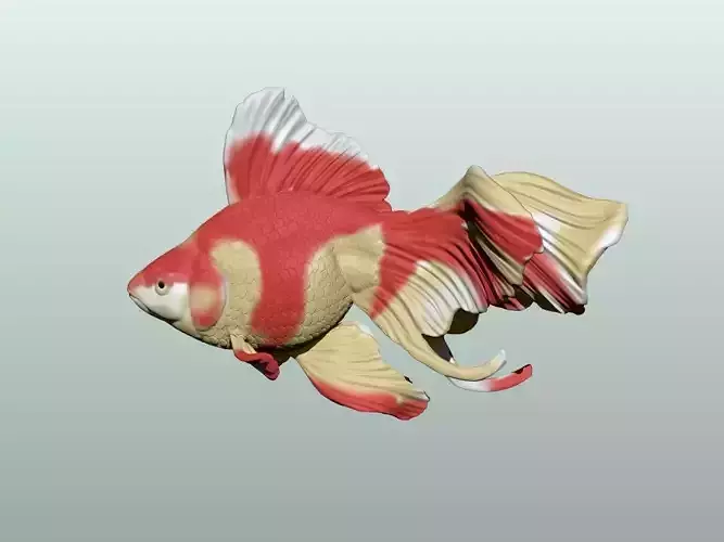 Goldfish Pose 1 3D print model