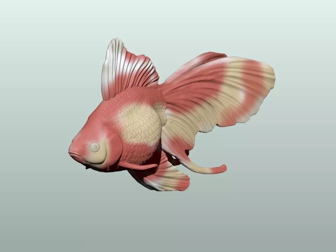 Goldfish Pose 2 3D print model_0