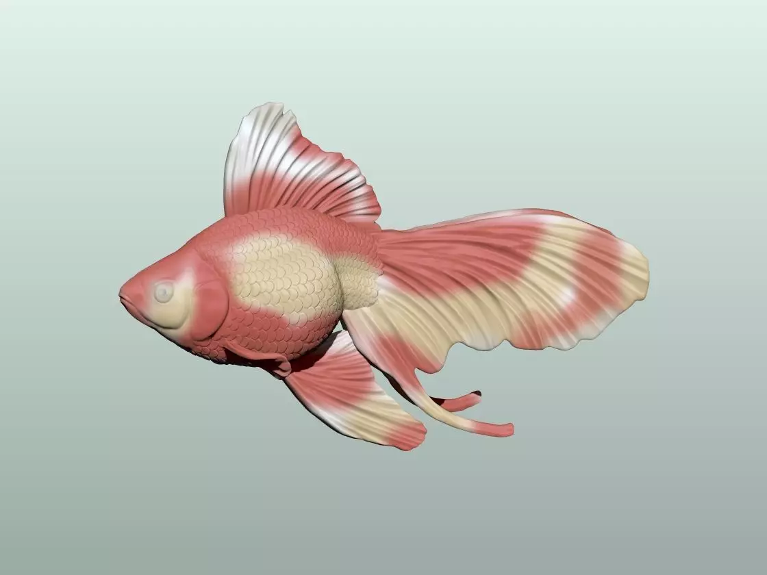 Goldfish Pose 2 3D print model_1