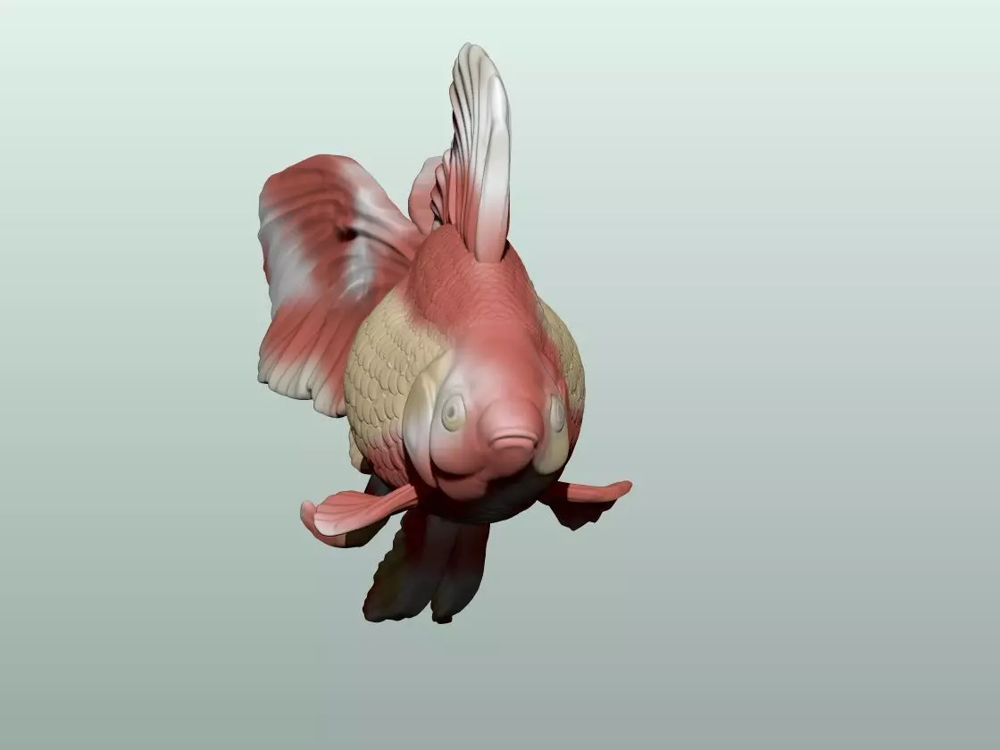 Goldfish Pose 2 3D print model_3