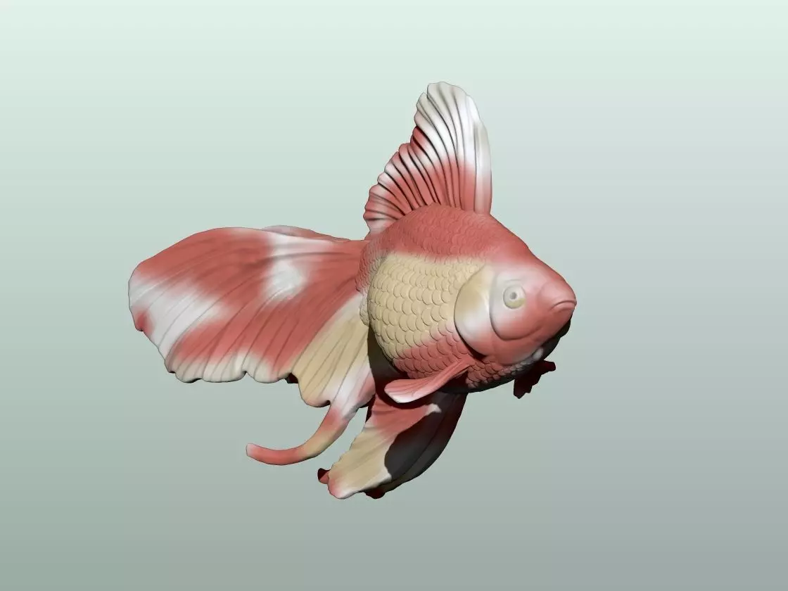 Goldfish Pose 2 3D print model_4