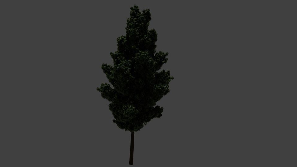 Tree Model 3D model_7