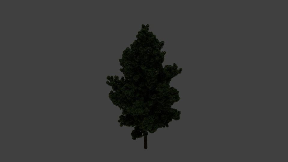 Tree Model 3D model_5