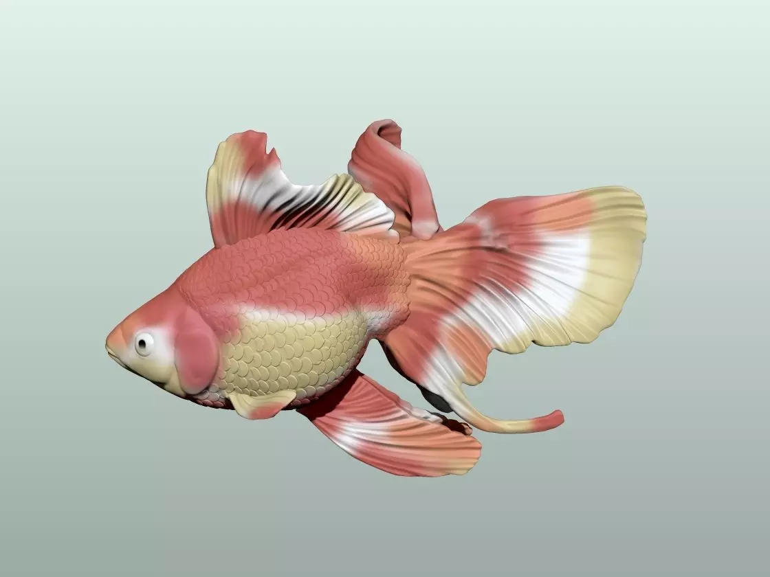 Goldfish Pose 3 3D print model_0