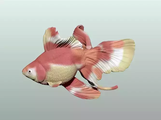 Goldfish Pose 3 3D print model