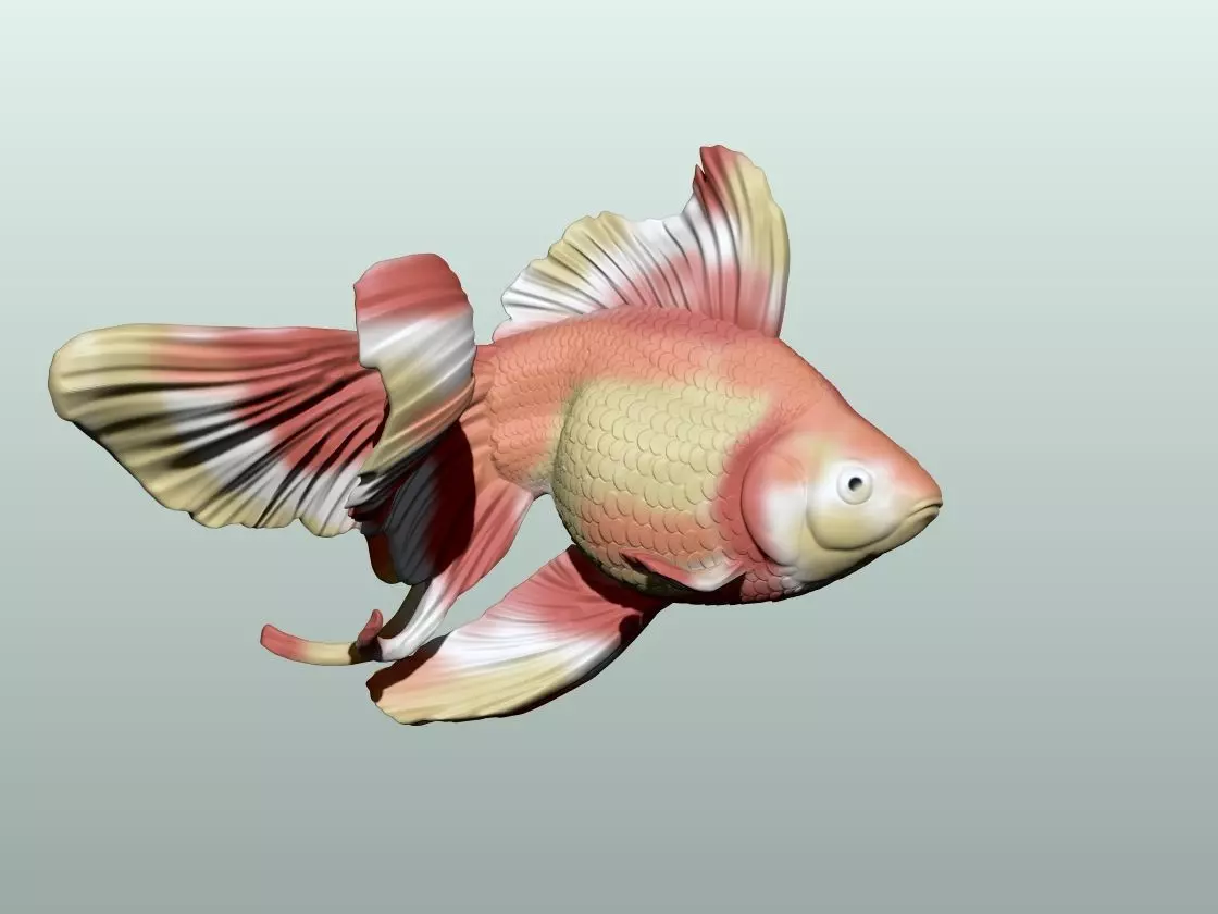 Goldfish Pose 3 3D print model_1