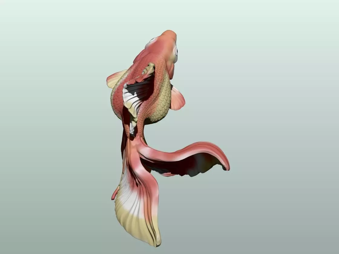 Goldfish Pose 3 3D print model_3