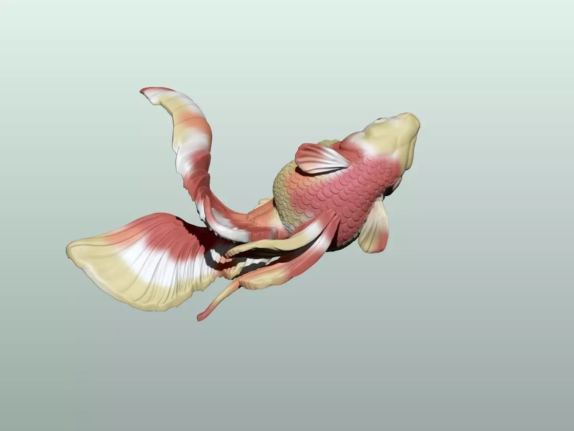 Goldfish Pose 3 3D print model_4