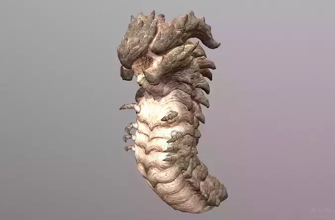 SandWorm SandMonster WormBoss Attack  