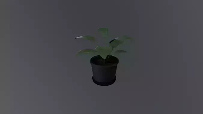 Pot Plant - Low Poly 3D Art
