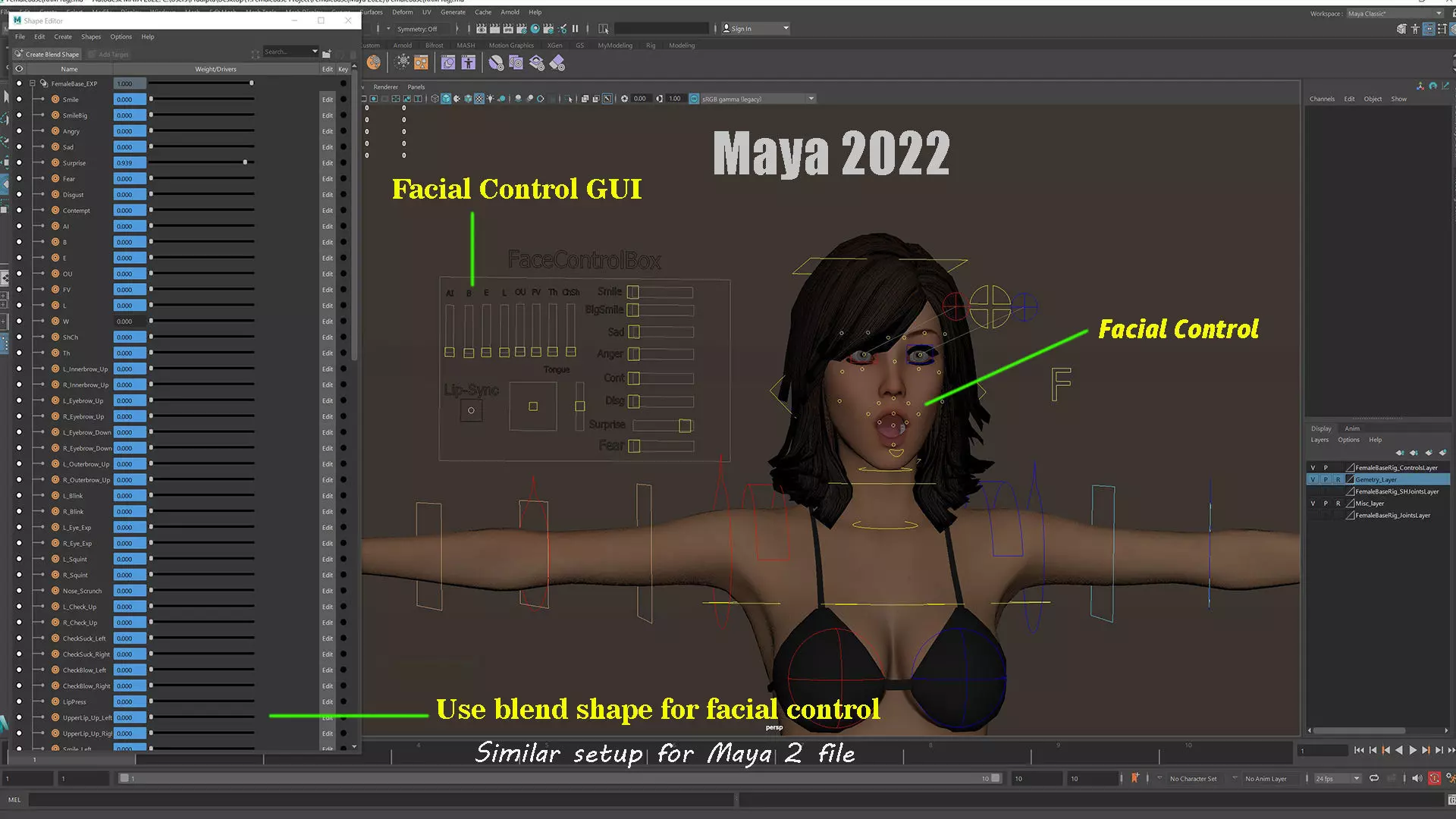 Female Base Full Rig Low-poly 3D model_28