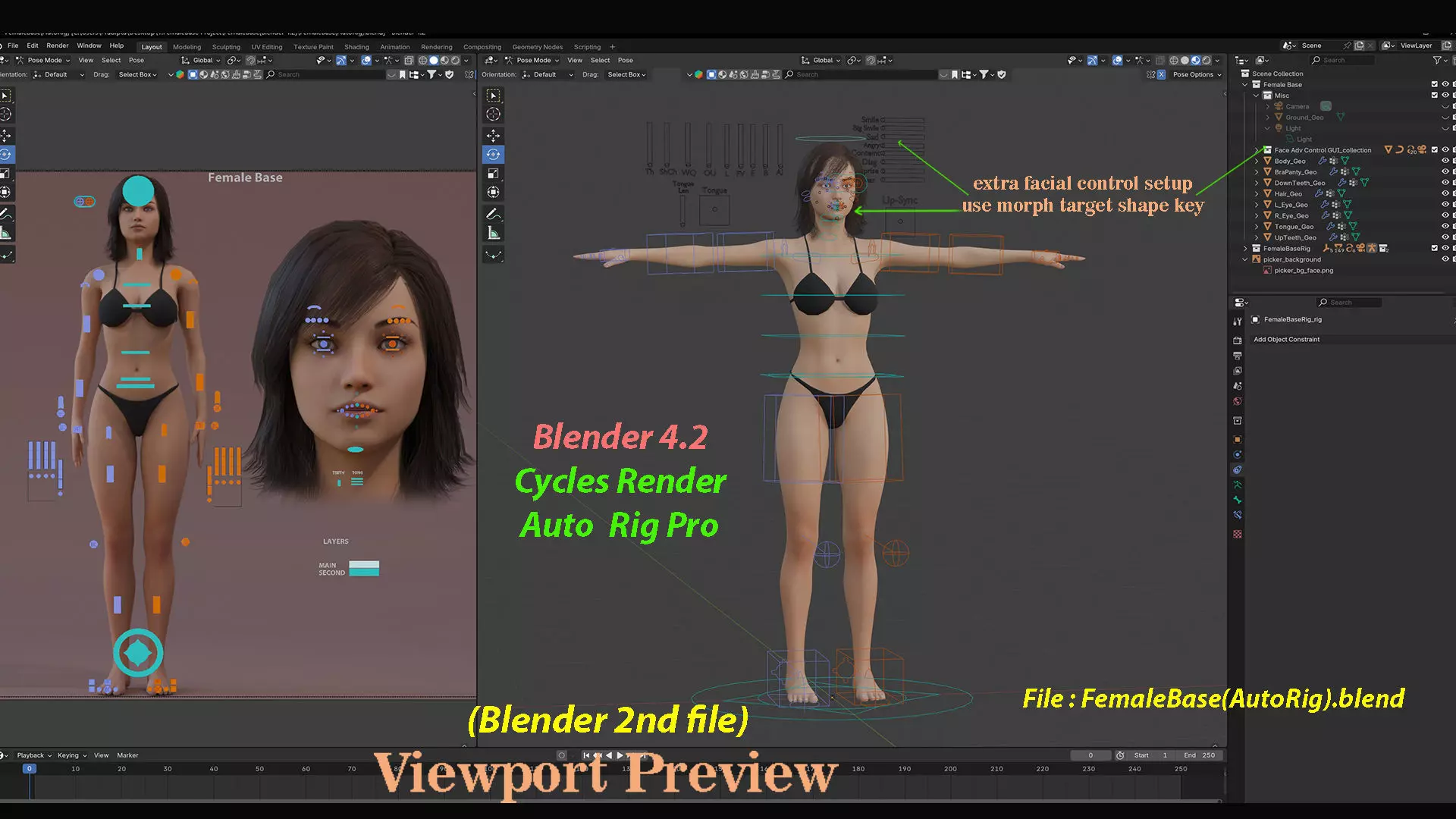 Female Base Full Rig Low-poly 3D model_26