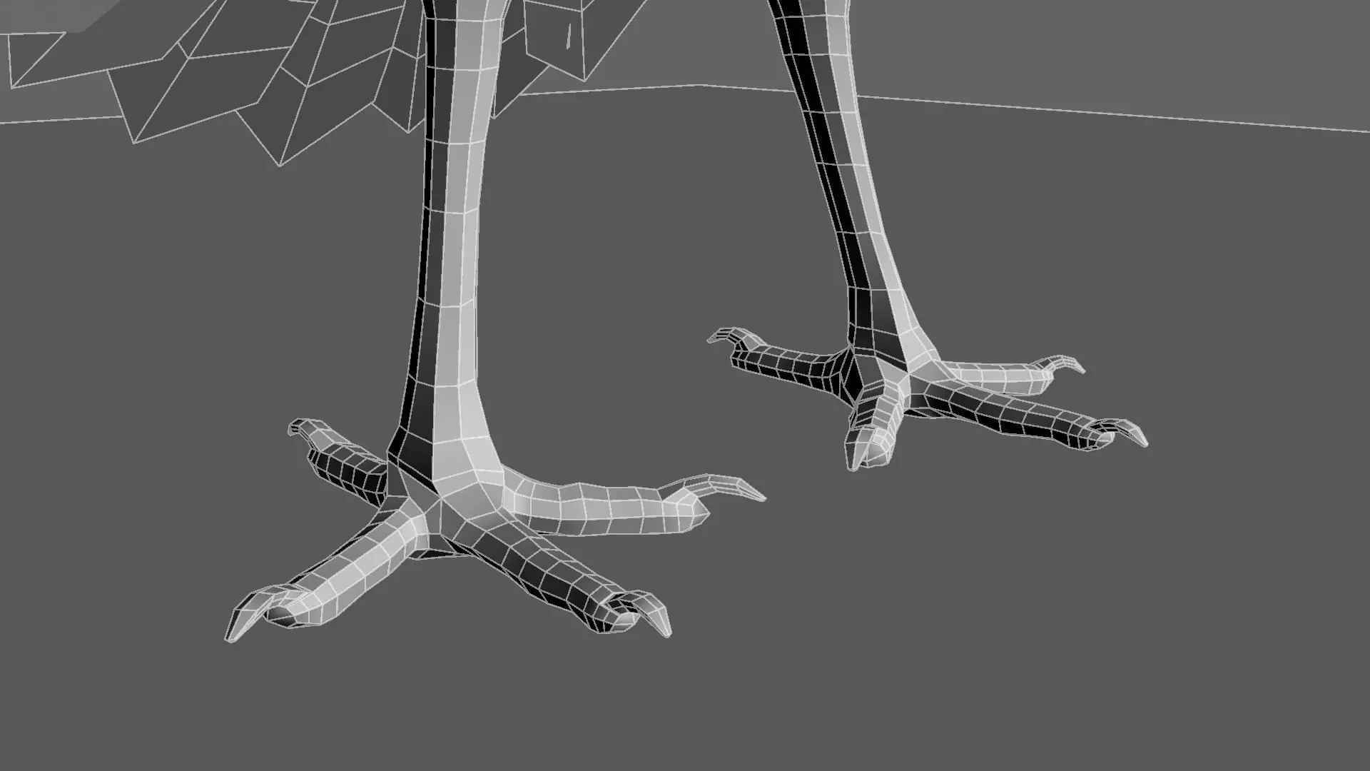 Scarlet-ibis Animation 3D model_26