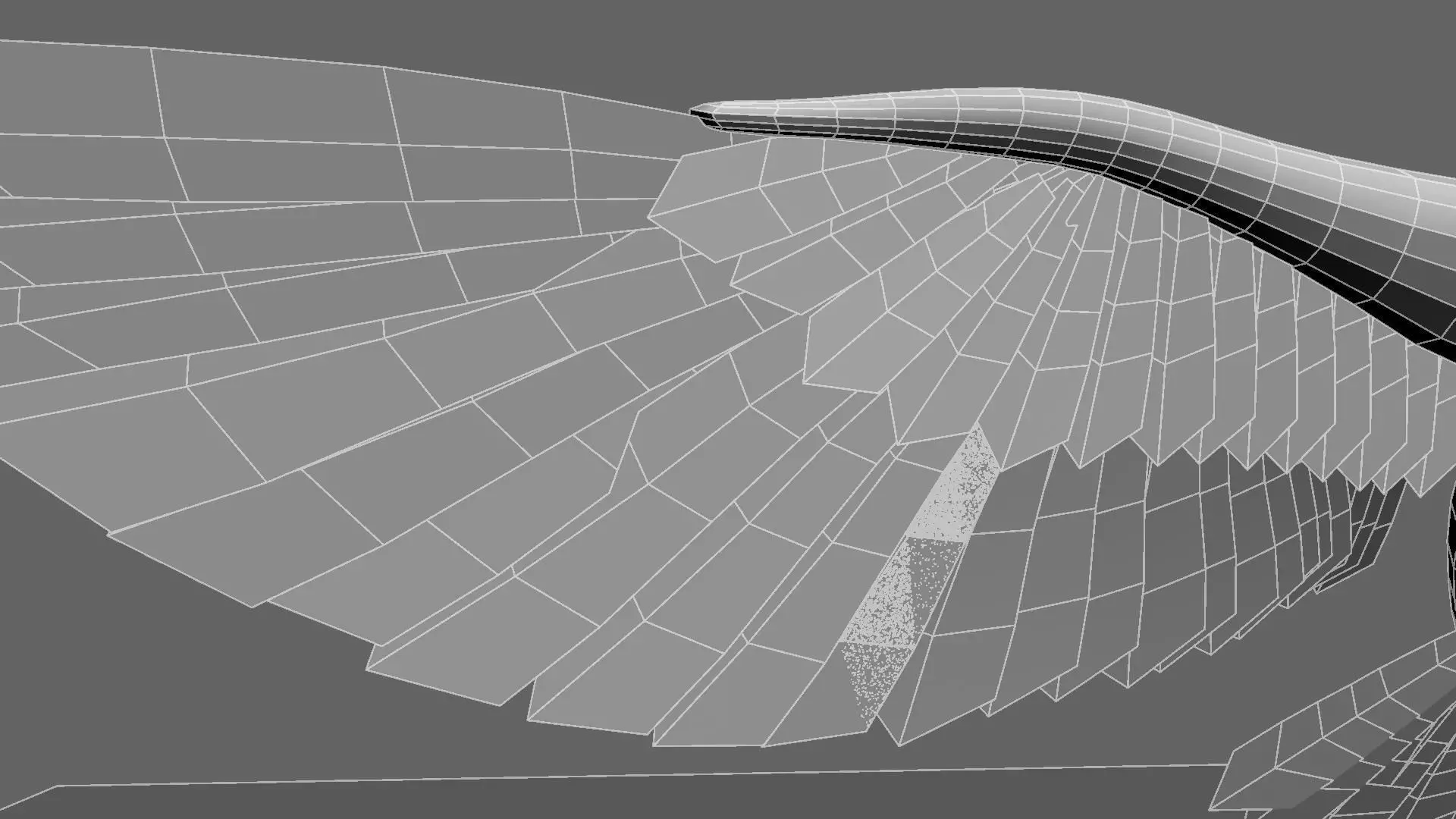 Scarlet-ibis Animation 3D model_39