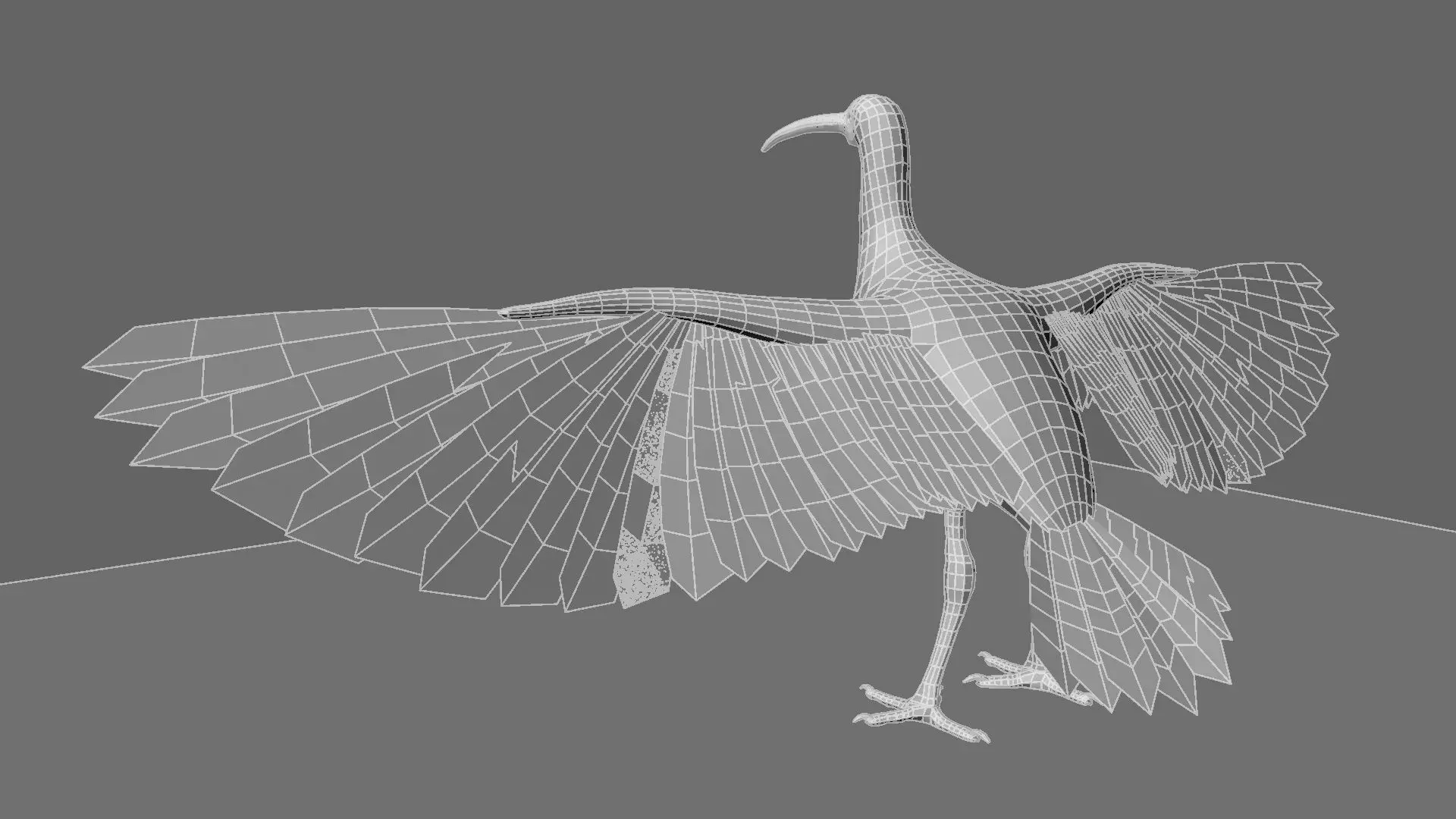 Scarlet-ibis Animation 3D model_23