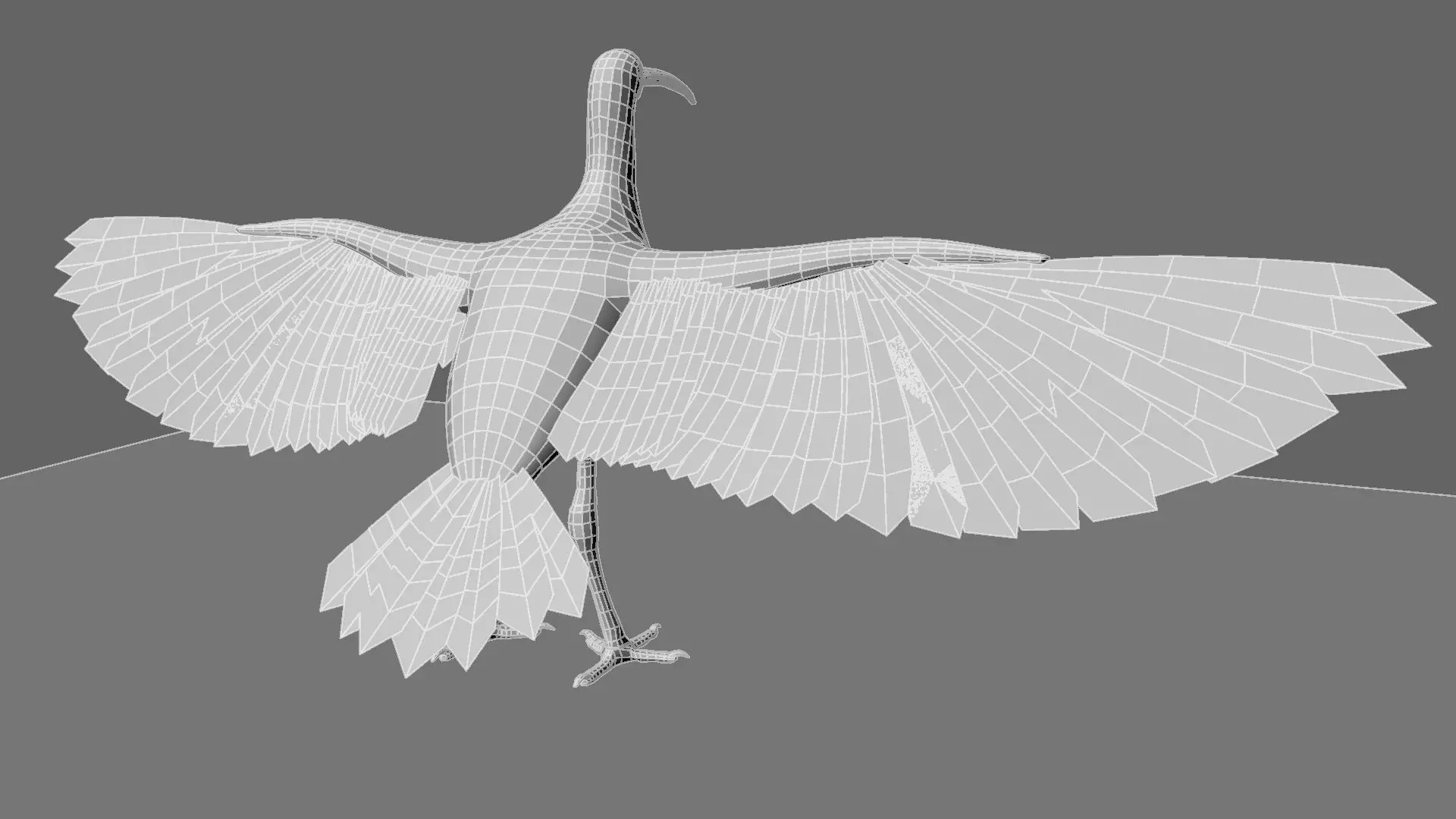 Scarlet-ibis Animation 3D model_22