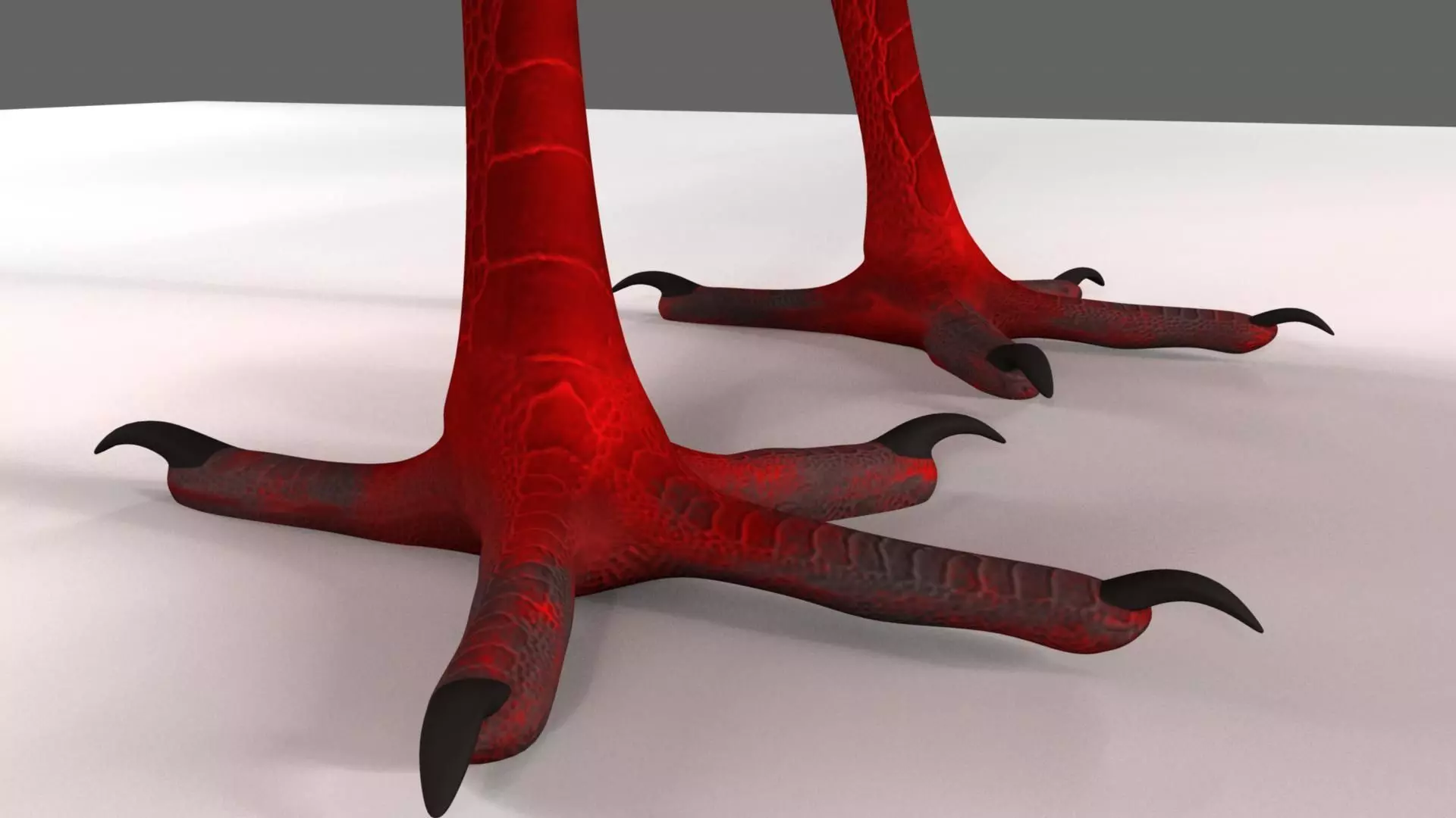 Scarlet-ibis Animation 3D model_53