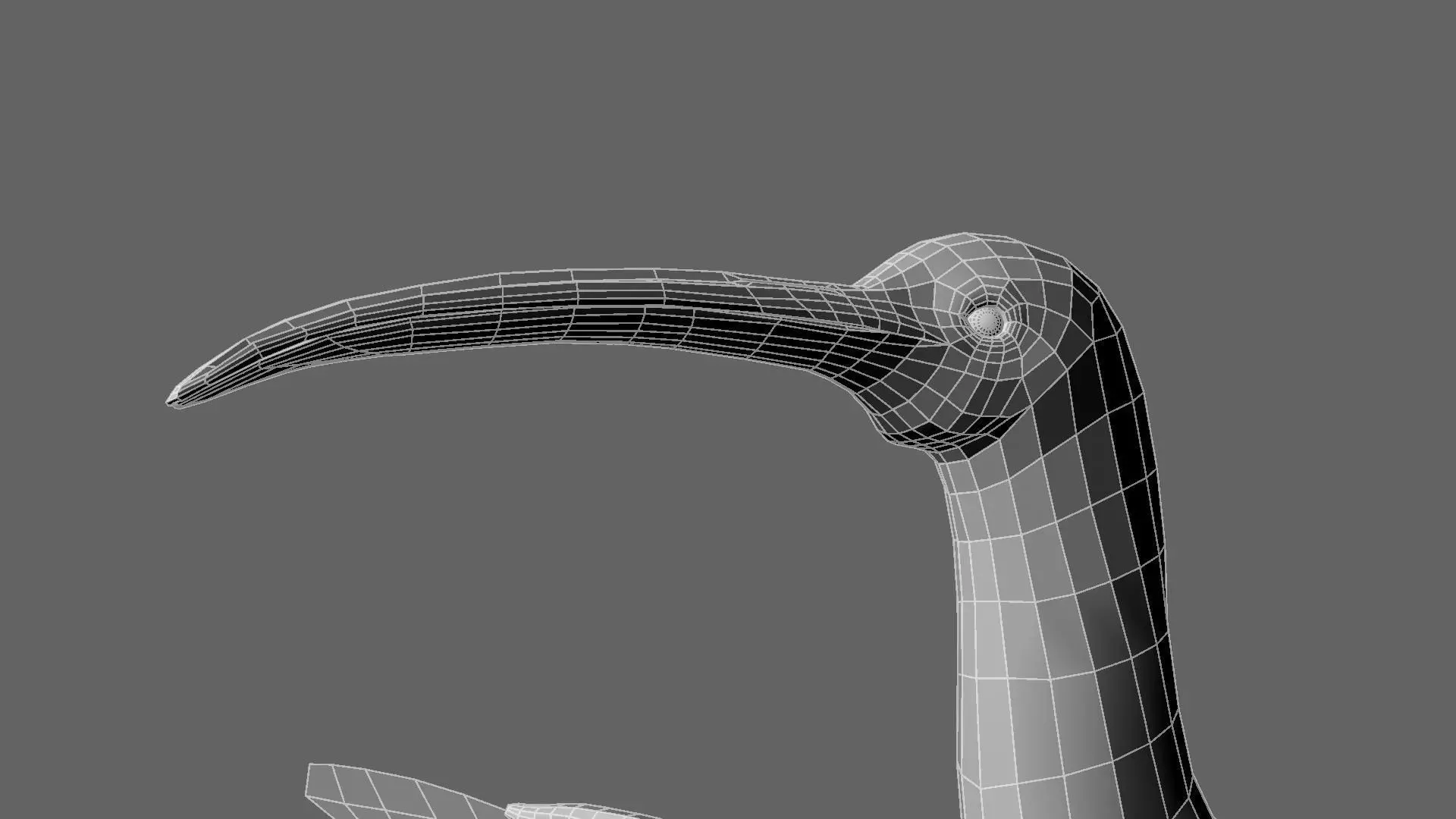 Scarlet-ibis Animation 3D model_40