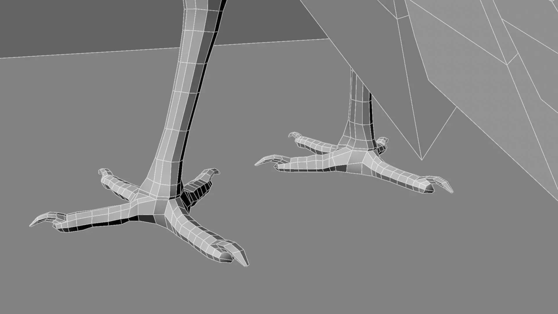 Scarlet-ibis Animation 3D model_28