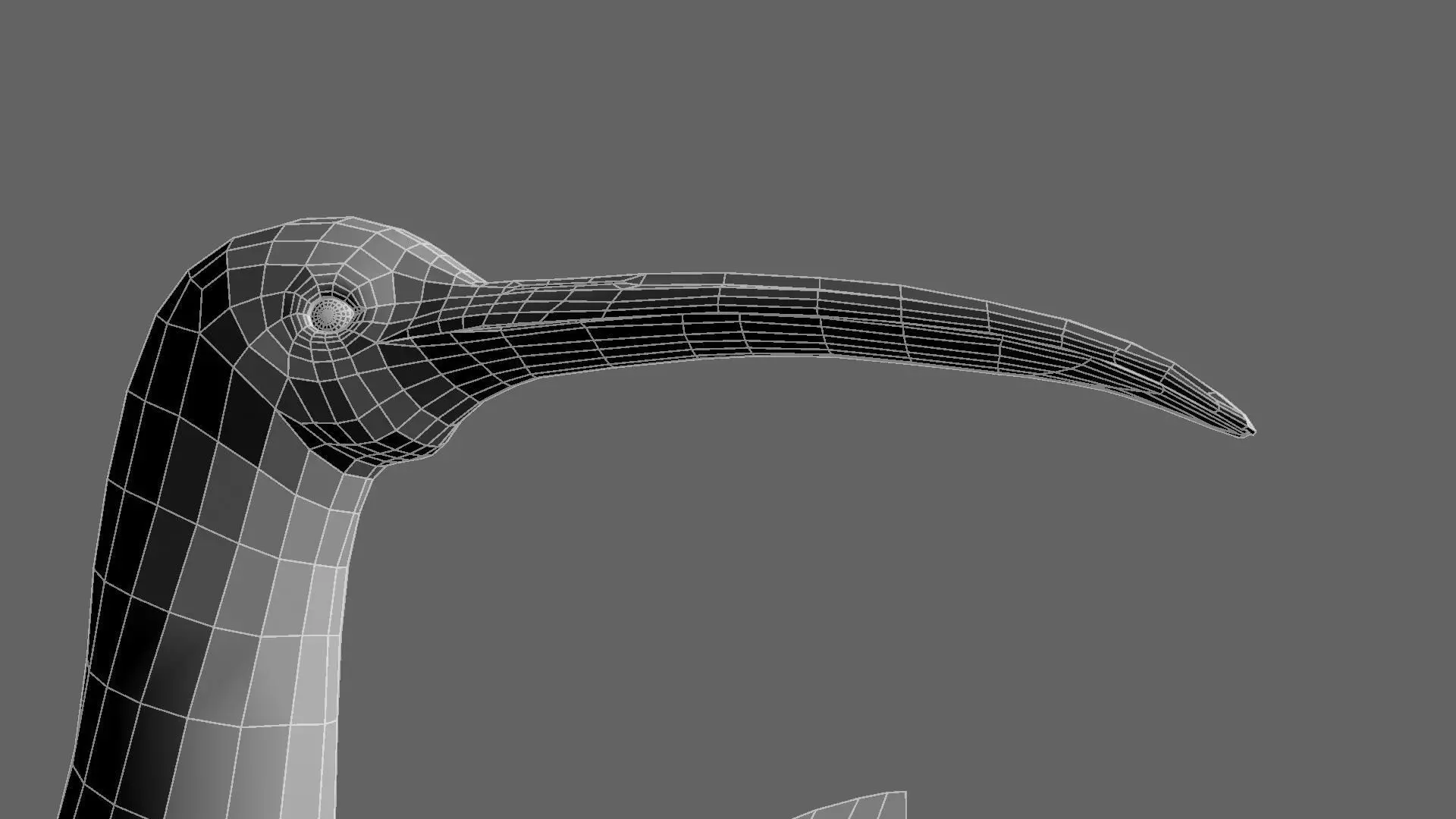 Scarlet-ibis Animation 3D model_43